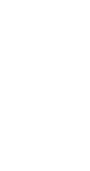 The Antagonist