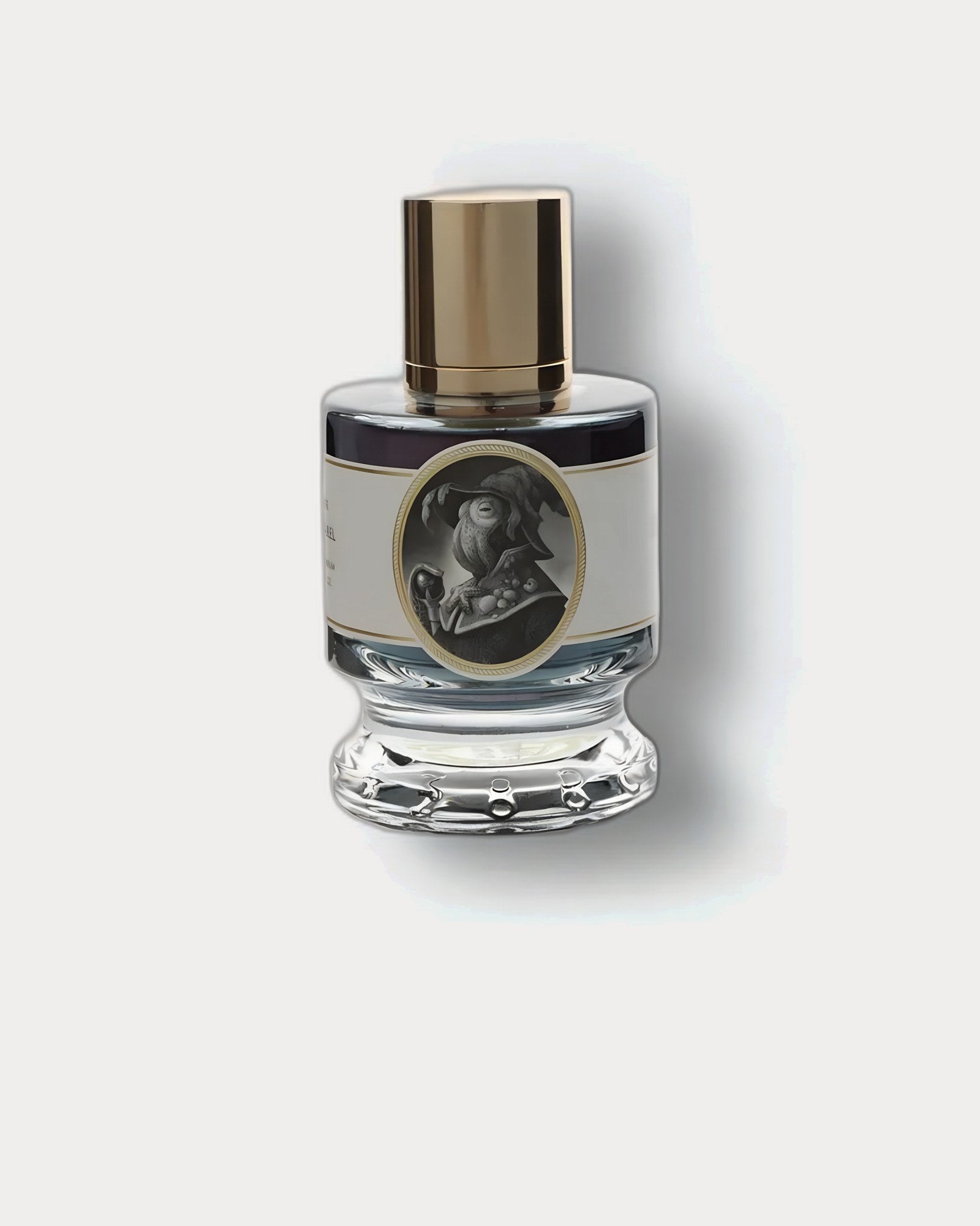 Zoologist - Squid perfume decant bottle image | aquatic, spicy fragrance