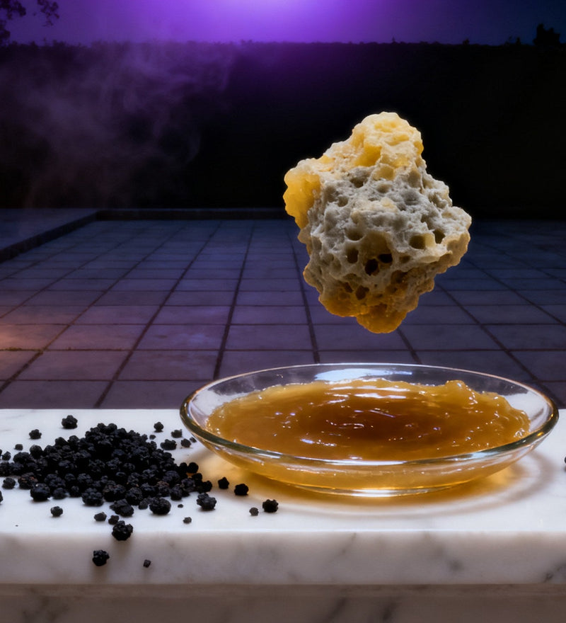 Un pallido blocco di ambra grigia sospeso sopra una coppetta di vetro con unguento dorato, su un davanzale di marmo bianco, con grani di muschio nero e piccoli dischi profumati essiccati, in un cortile piastrellato e scuro.