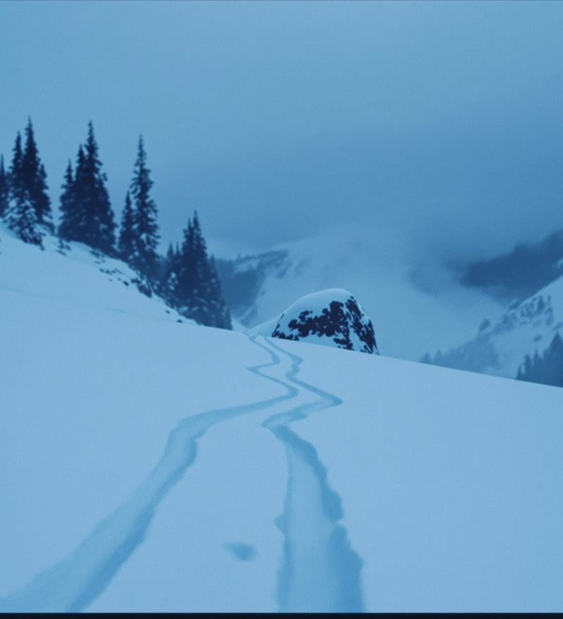 Four sets of small cloven tracks converging on a wind-scoured rock in a snowy mountain pass at blue hour