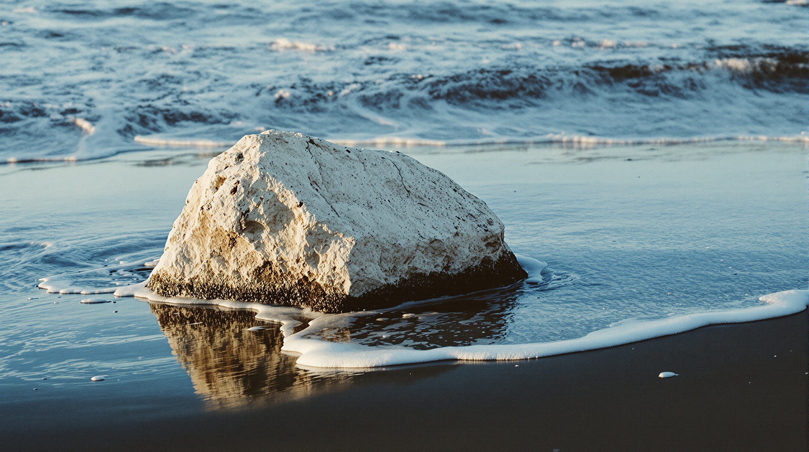 A pale grey waxy mass half buried in wet sand at the tideline in low dawn light