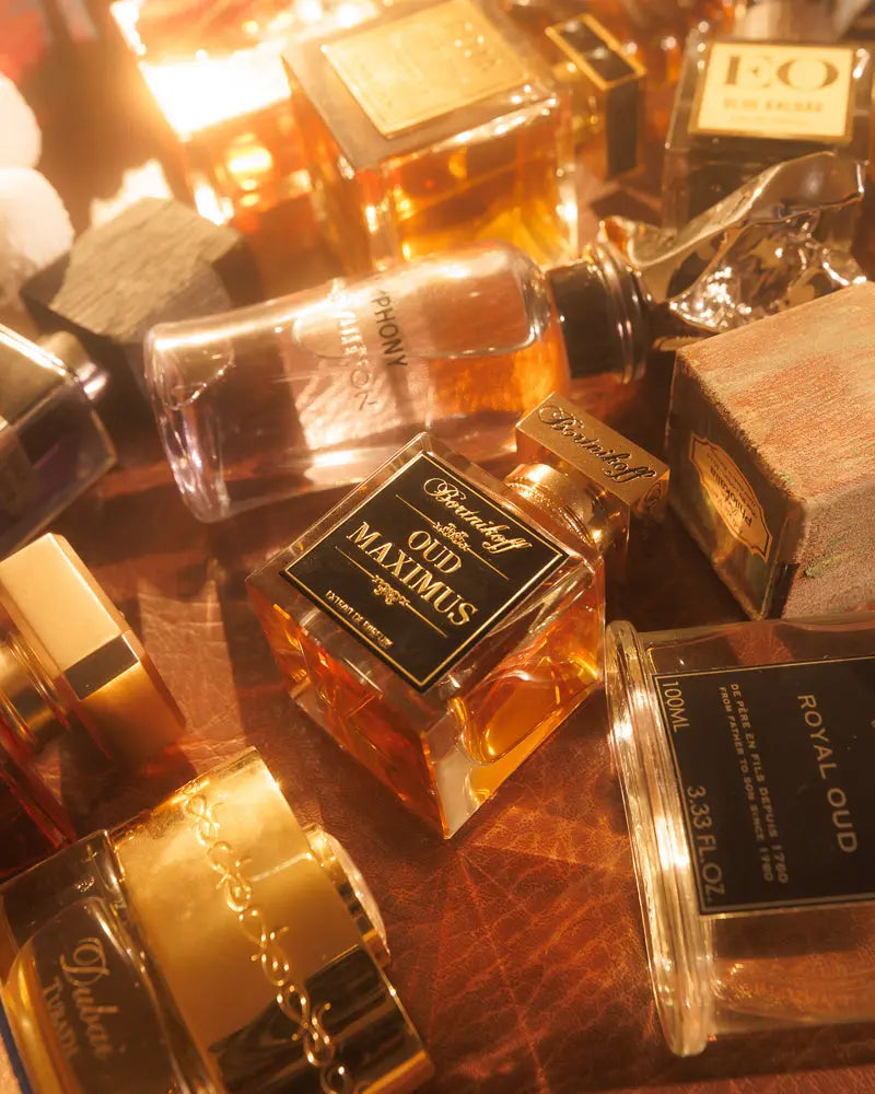 Bortnikoff Oud Maximus has exclusive notes and try out Oud Maximus sample.