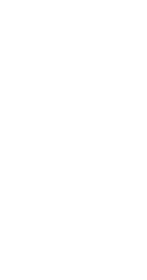 The Antagonist Decants
