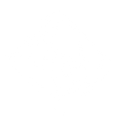 Areej Le Doré