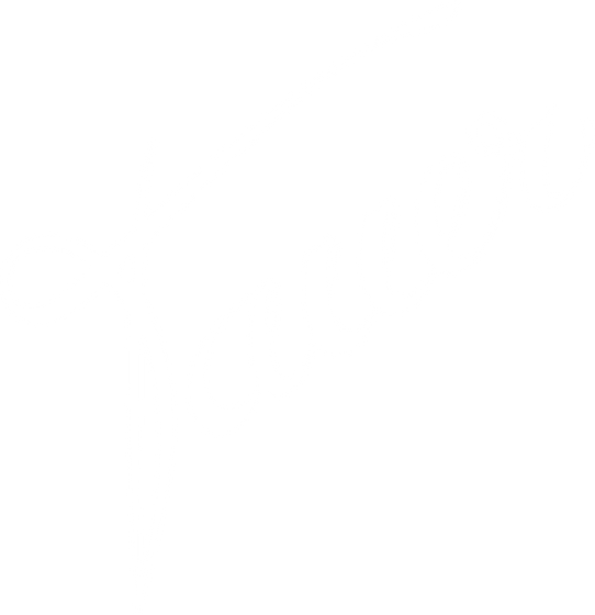Tauer Perfumes Decants